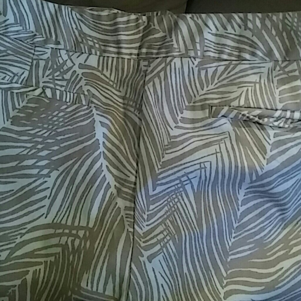 Talbots Modern Fit Capris - Picture 4 of 5